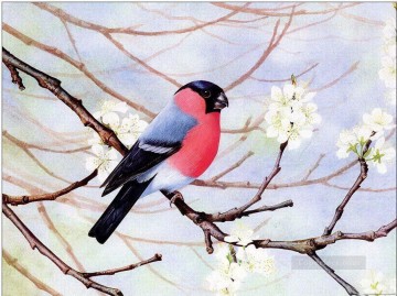blumendamen vögel Ölbilder verkaufen - Vögel im Frühjahr